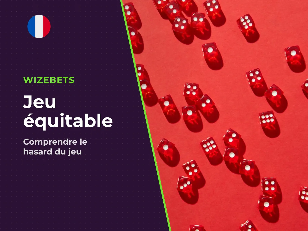 Ces schémas n'existent que chez les
