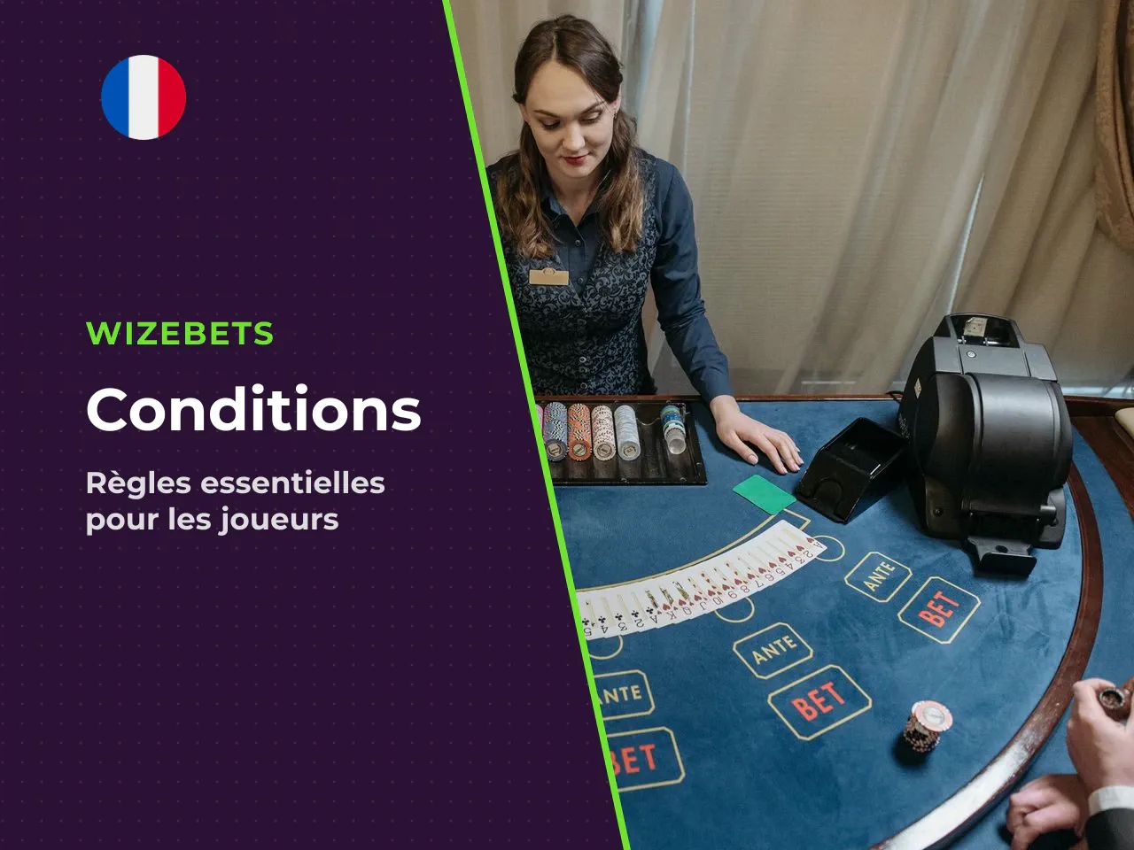 Conditions du site et détails importants