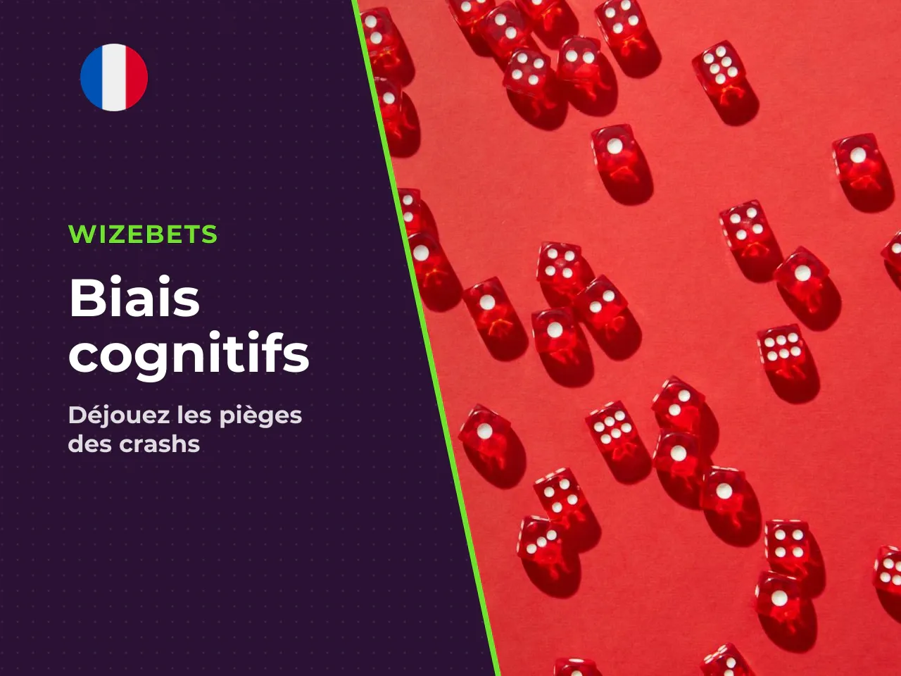 5.2 Les biais propres aux crash