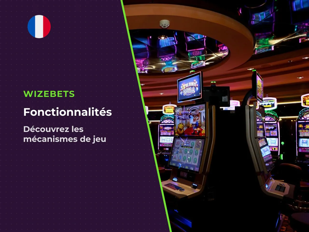Les fonctions internes du logiciel Wild